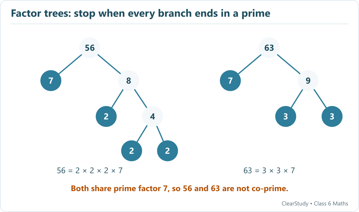 56 splits into 7 and 8, 8 into 2 and 4, 4 into 2 and 2. 63 splits into 7 and 9, 9 into 3 and 3. Common prime factor 7.