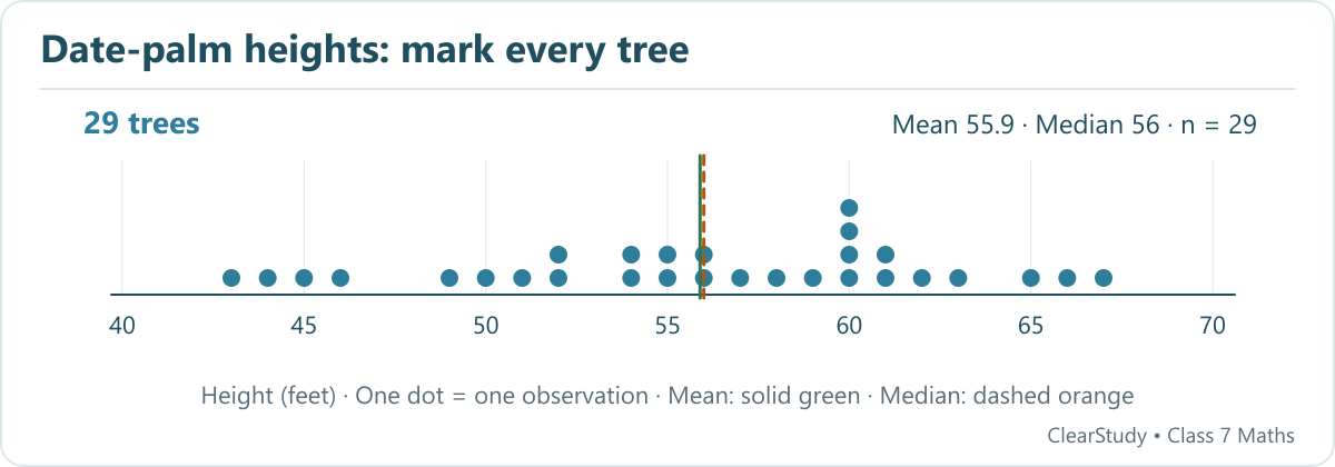 The 29 tree heights total 1621 feet. Mean is about 55.90 feet and median is 56 feet; 13 trees are shorter than the mean.