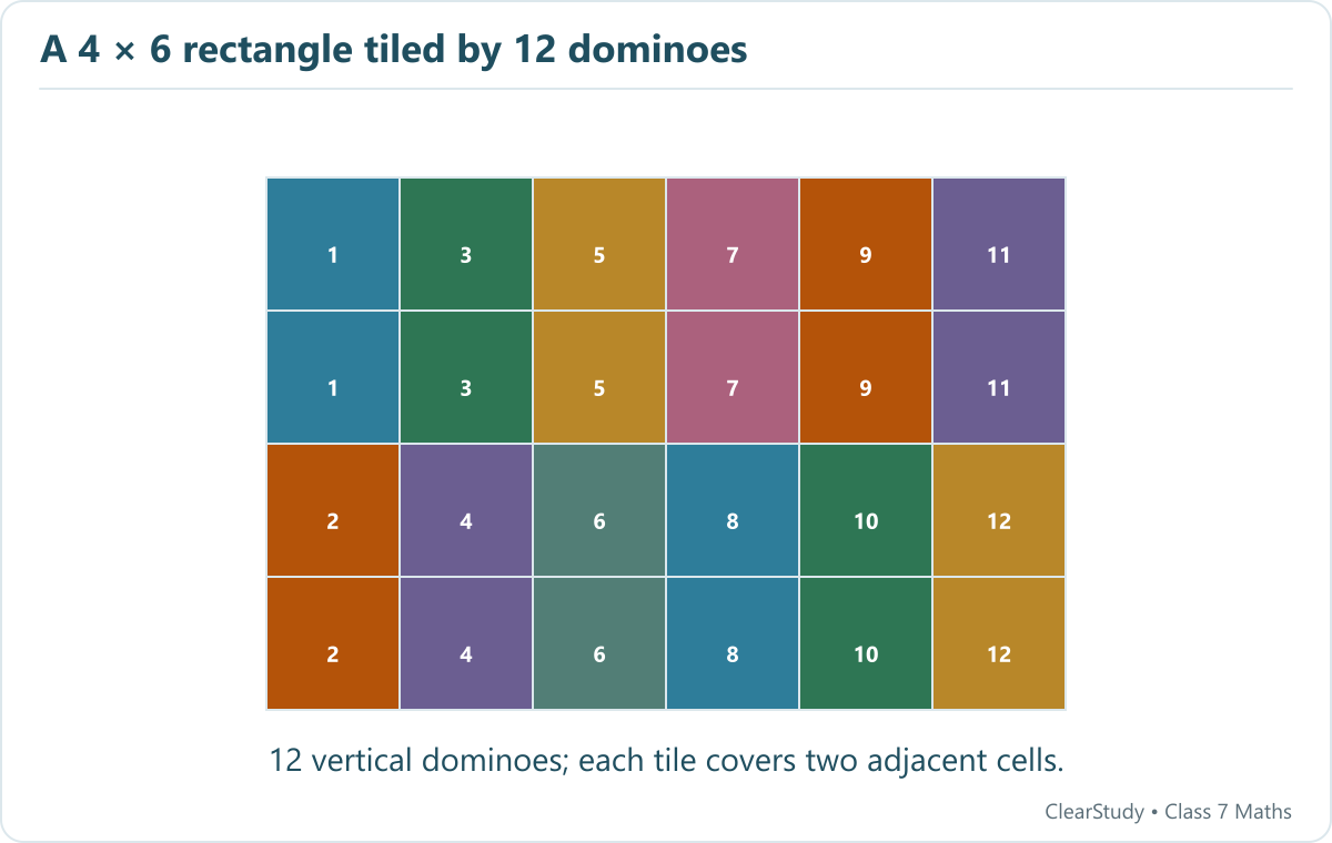Each column is covered by two vertical dominoes. A full rectangular grid is domino-tileable whenever at least one dimension is even.
