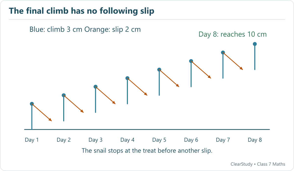 After seven day-night cycles the snail is at 7 cm. On day 8 it climbs to 10 cm and reaches the treat.