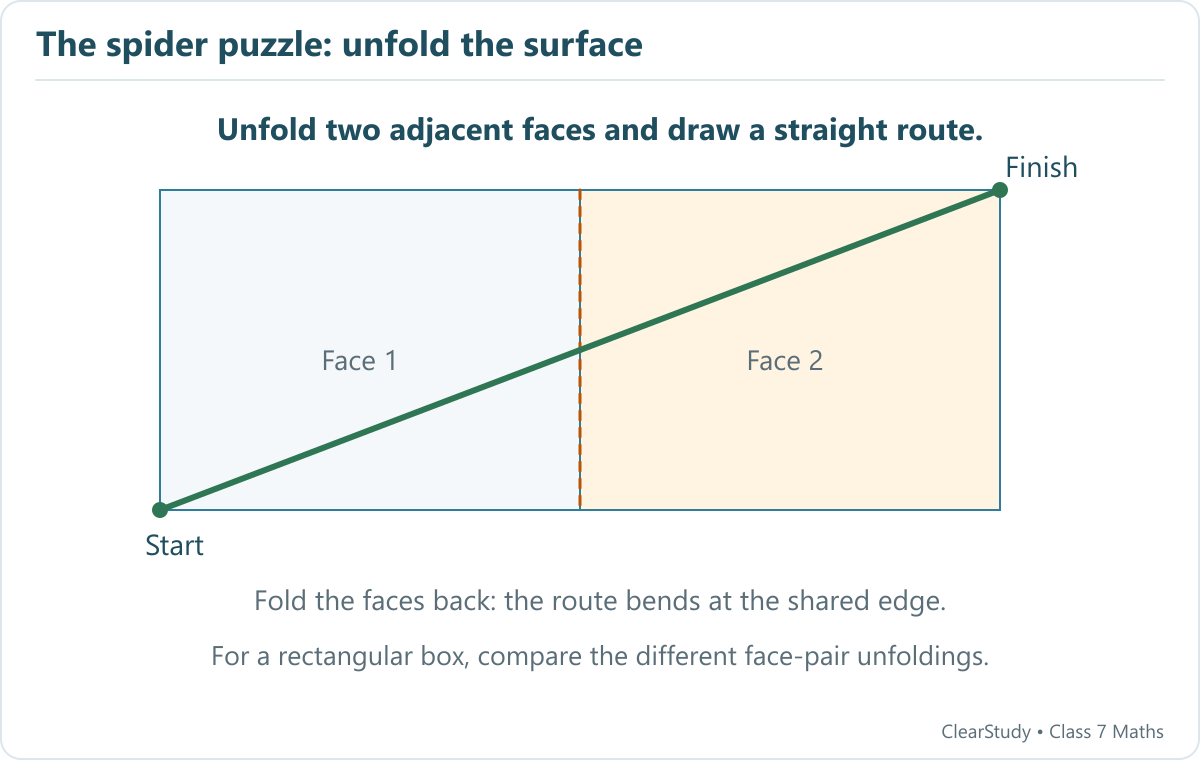 An unfolded pair of adjacent faces turns the surface route between opposite corners into a straight segment. Compare possible face-pair unfoldings for a rectangular box; no box dimensions are specified.