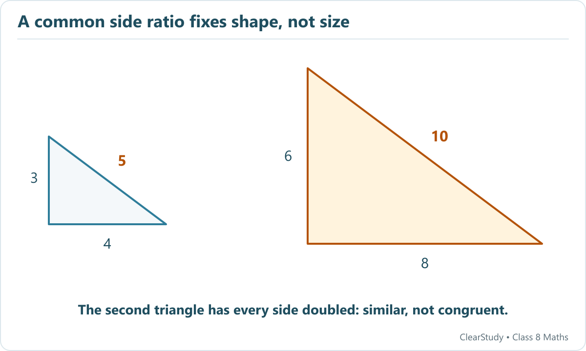 Right triangles with sides three four five and six eight ten share the same shape but differ in size.