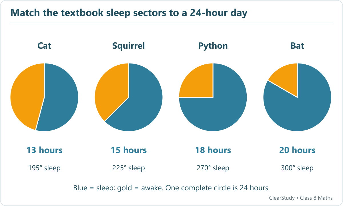 Cat 13 hours; Squirrel 15 hours; Python 18 hours; Bat 20 hours.