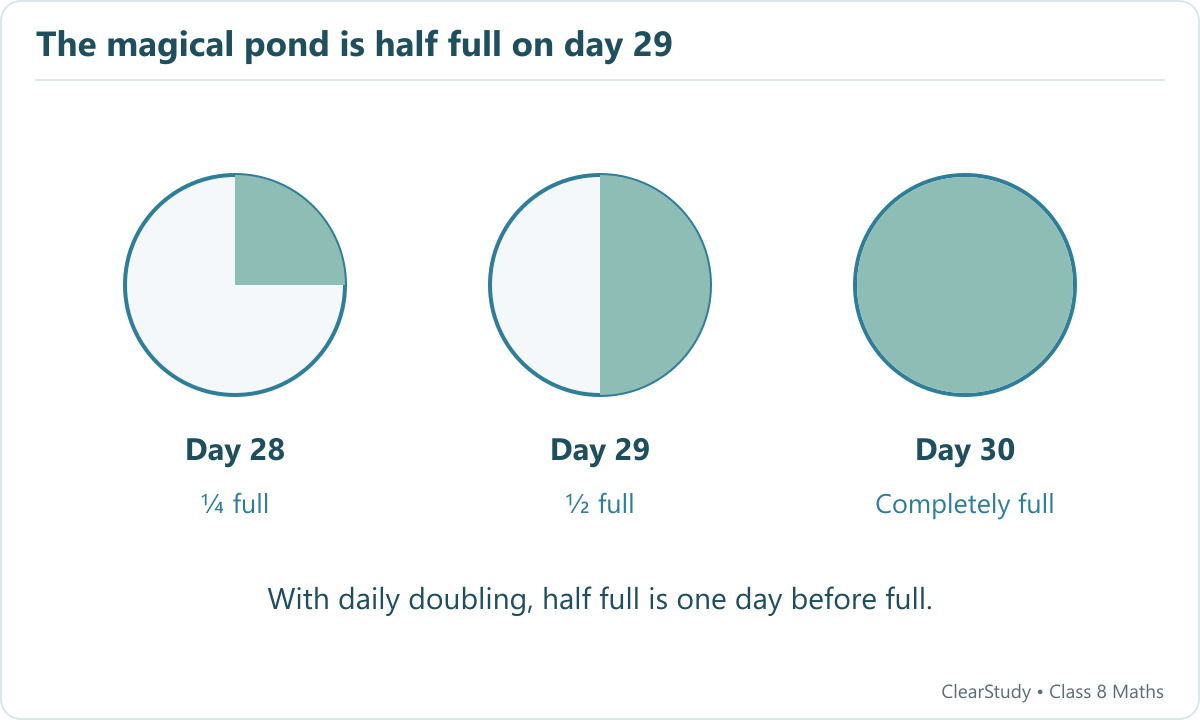 Three pond circles show one quarter full on day 28, half full on day 29 and completely full on day 30.