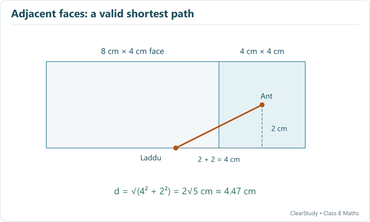 Unfolding the adjacent faces of the 8 by 4 by 4 cm cuboid gives a straight path of 2 root 5 cm.