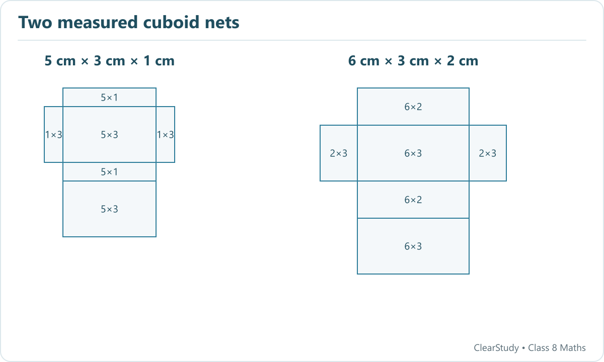 Six labelled rectangular faces make each 5 by 3 by 1 cm and 6 by 3 by 2 cm cuboid net.
