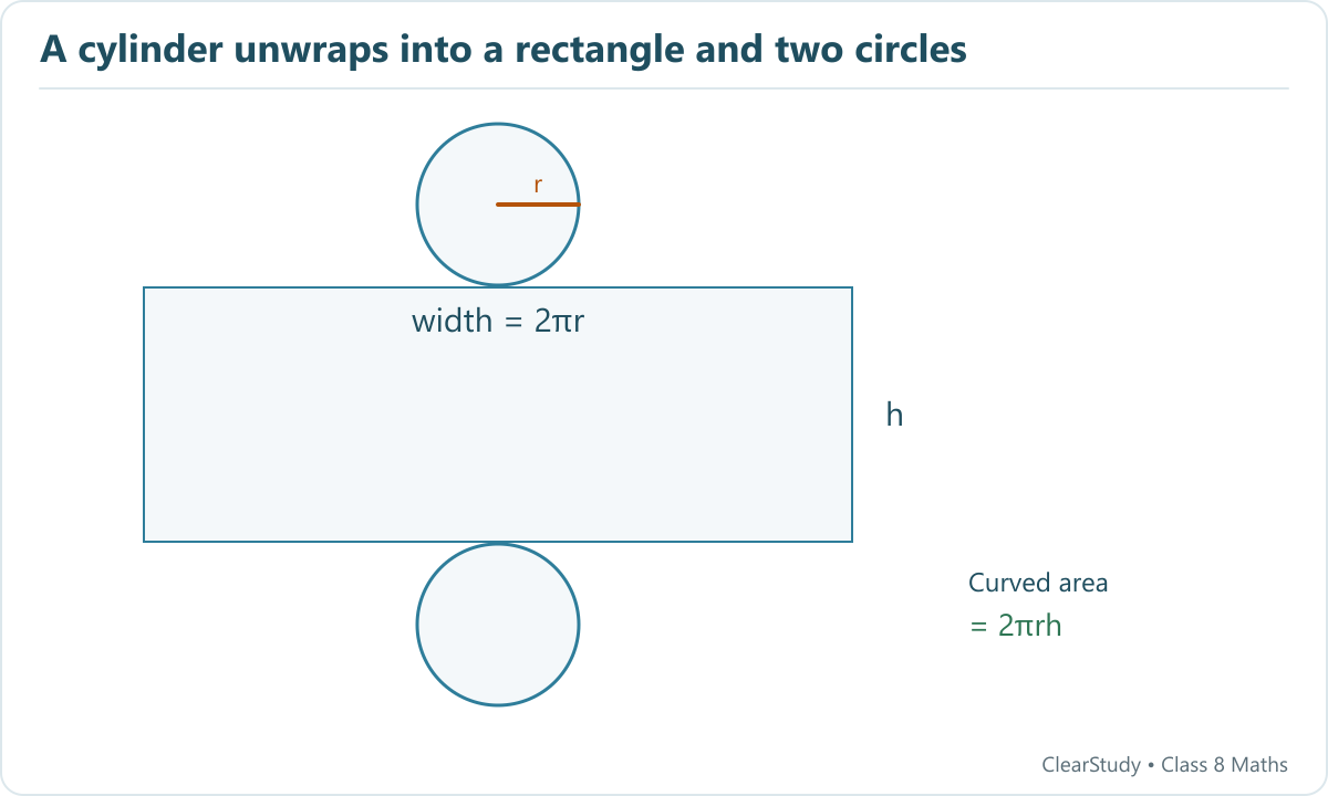 Cylinder net with two radius-r circles and a rectangle whose width is circumference 2 pi r and height is h.