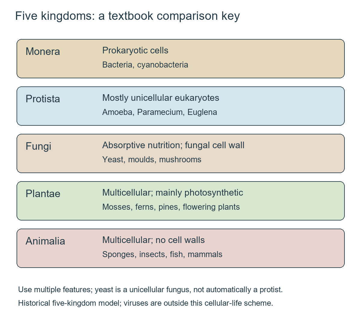 Comparison of Monera, Protista, Fungi, Plantae and Animalia by cell organisation, nutrition, wall features and examples; yeast is a unicellular fungus.