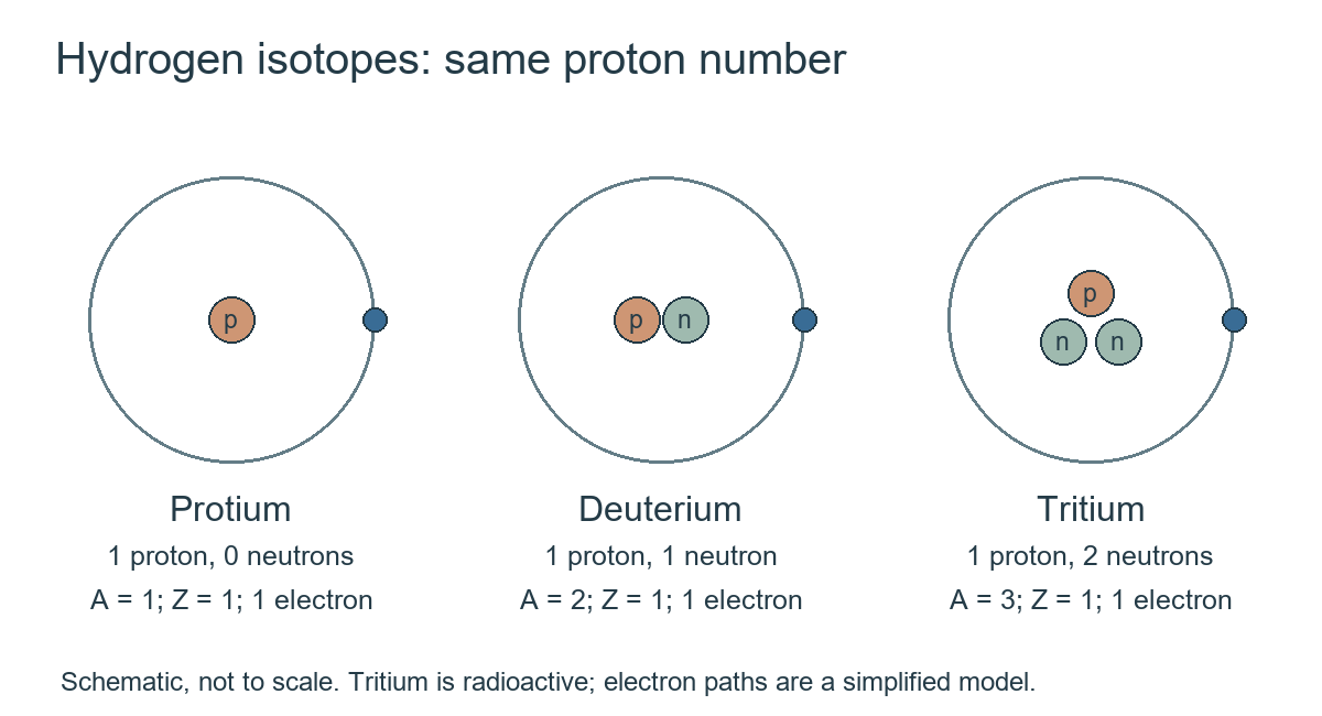 Hydrogen isotopes: protium has one proton and zero neutrons, deuterium one proton and one neutron, tritium one proton and two neutrons; each neutral atom has one electron.