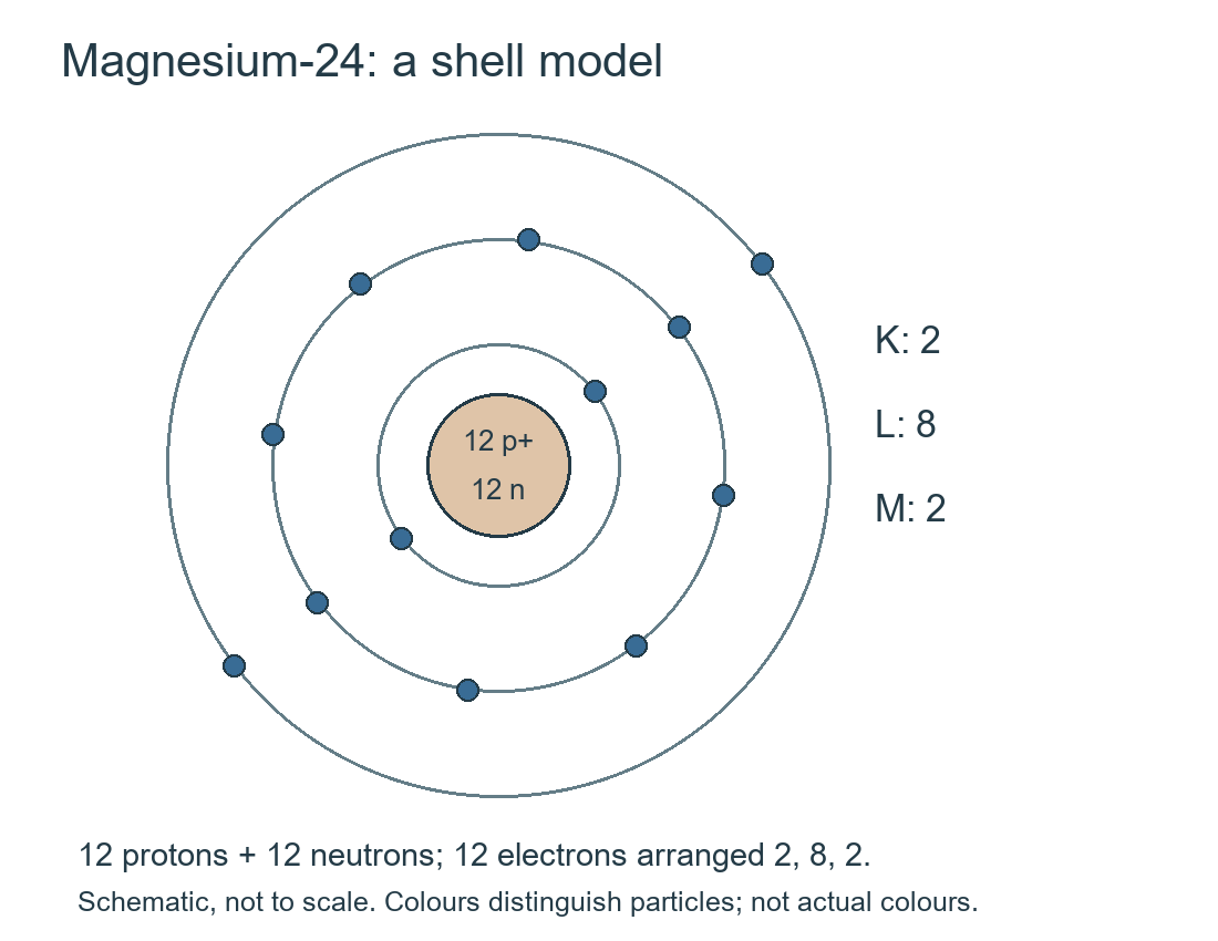 Magnesium-24 shell model with 12 protons and 12 neutrons in the nucleus and 2, 8 and 2 electrons in K, L and M shells.