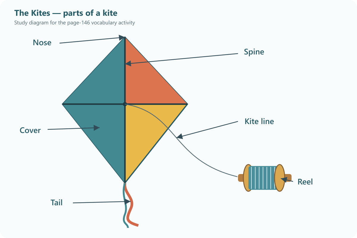 Study diagram labelling the nose, spine, cover, kite line, tail and reel of a kite